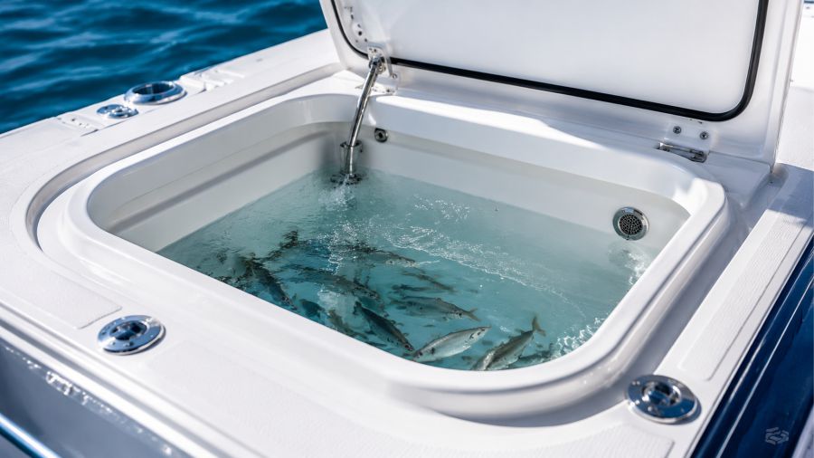 livewell & baitwell cleaning products